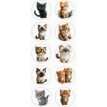 Cat / Kitten Stickers - Sold Assorted 